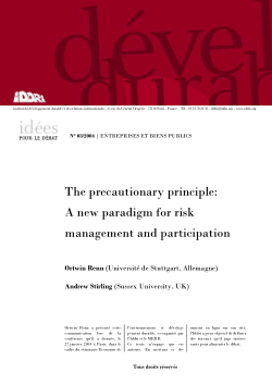 Item - The precautionary principle: a new paradigm for risk
