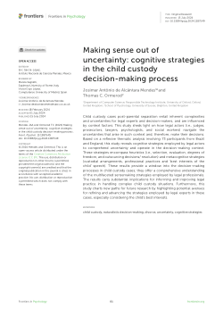 Making sense out of uncertainty: cognitive strategies in the child custody decision-making process