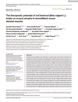 The therapeutic potential of red beetroot (Beta vulgaris L.) intake on muscle atrophy in immobilized mouse skeletal muscles