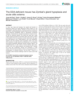 The EDA-deficient mouse has Zymbal's gland hypoplasia and acute otitis externa