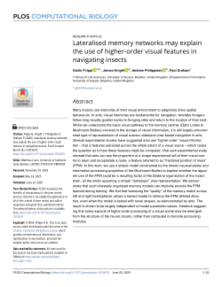 Lateralised memory networks may explain the use of higher-order visual features in navigating insects