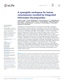 A synergistic workspace for human consciousness revealed by Integrated Information Decomposition