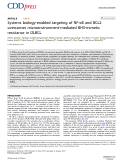 Systems biology-enabled targeting of NF-κΒ and BCL2 overcomes microenvironment-mediated BH3-mimetic resistance in DLBCL