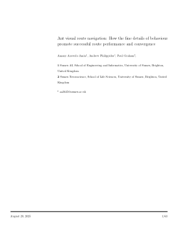 Ant visual route navigation: How the fine details of behaviour promote successful route performance and convergence