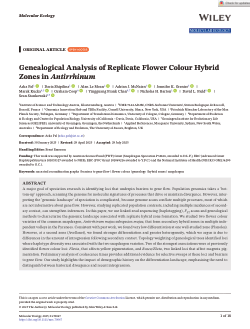 Genealogical analysis of replicate flower colour hybrid zones in antirrhinum