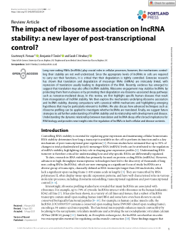 The impact of ribosome association on lncRNA stability: a new layer of post-transcriptional control?
