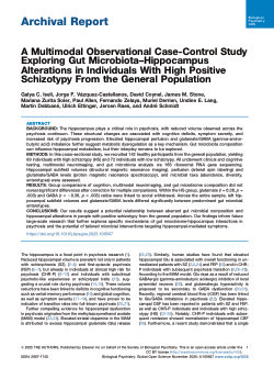 A multimodal observational case-control study exploring gut microbiota–hippocampus alterations in individuals with high positive schizotypy from the general population
