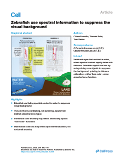 Zebrafish use spectral information to suppress the visual background