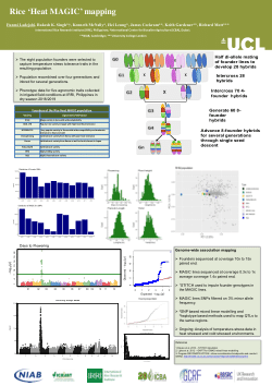 Rice Heat MAGIC mapping.
