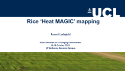 Genome-wide association mapping in the rice heat MAGIC population