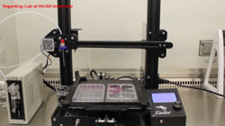 <b>Automated production of nerve repair constructs containing endothelial cell tube-like structures</b>