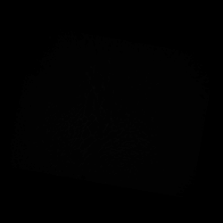 A tissue boundary orchestrates the segregation of inner ear sensory organs