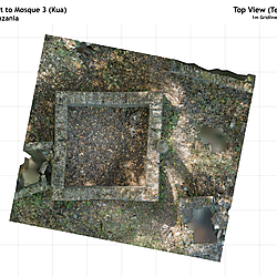 Plans of a 3D Model of the Mosque 3 & Pillar Tomb at Kua Ruins