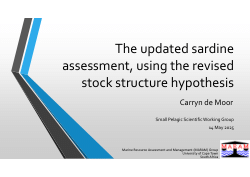 The updated sardine assessment, using the revised stock structure hypothesis
