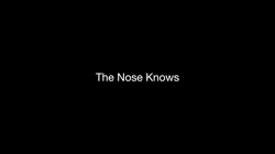 Ch.3. I) Red Nose: The Nose Knows