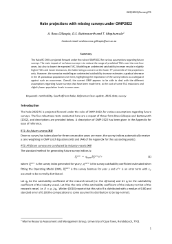 Hake projections with missing surveys under OMP2022