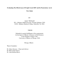 Phd dissertation picture