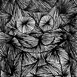 untitled (cat)