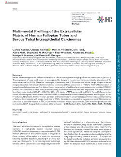 Multi-modal Profiling of the Extracellular Matrix of Human Fallopian Tubes and Serous Tubal Intraepithelial Carcinomas