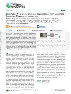 Cavomycins A–C, Linear Oligomer Depsipeptides from an Annelid-Associated Streptomyces cavourensis