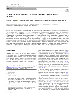 NER-factor DDB2 regulates HIF1α and hypoxia-response genes in HNSCC