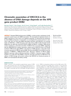 Chromatin association of XRCC5/6 in the absence of DNA damage depends on the XPE gene product DDB2