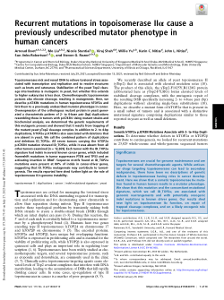 Recurrent mutations in topoisomerase IIα cause a previously undescribed mutator phenotype in human cancers