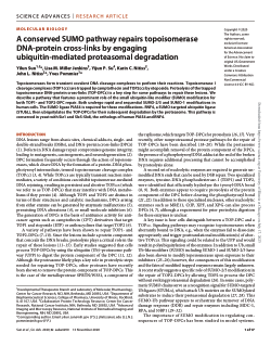 A conserved SUMO pathway repairs topoisomerase DNA-protein cross-links by engaging ubiquitin-mediated proteasomal degradation