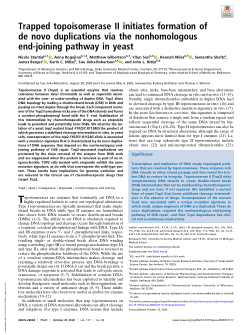 Trapped topoisomerase II initiates formation of de novo duplications via the nonhomologous end-joining pathway in yeast