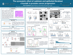 The synergistic effect of cadmium and epithelial-fibroblast crosstalk in prostate cancer progression