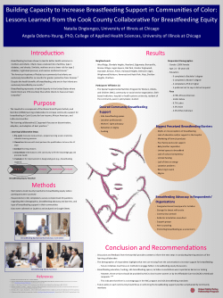 Building Capacity to Increase Breastfeeding Support in Communities of Color: Lessons Learned from the Cook County Collaborative for Breastfeeding Equity