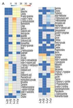 Supplemental Data_<i>Lacticaseibacillus rhamnosus GG-</i>Driven Remodeling of Arginine Metabolism Mitigates Gut Barrier Dysfunction