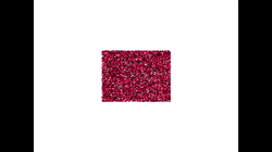 <i>Accelerating Graph Rendering in </i><i>the Web</i>