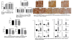 The effects of TUG-891 on MG-63 osteosarcoma cell viability