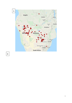 Geographical distribution of marama bean associated with fungal species and the investigation of the fungal diversity of marama bean