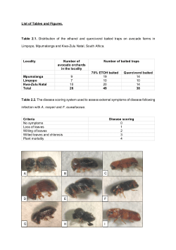 PacBio sequencing of the fungal mutualists associated with Xylosandrus crassiusculus found on avocado