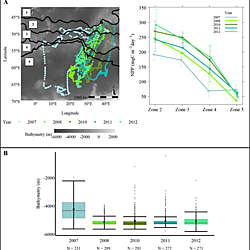 Intermittently breeding adult female southern elephant seals from Marion Island that skip reproductive seasons and the associated diving and environmental conditions experienced by these females at-sea from 2007 to 2012