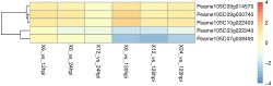 Identifying number of necrosis and ethylene-inducing peptide 1-like proteins (NLPs) encoding genes from Phytophthora cinnamomi transcriptome