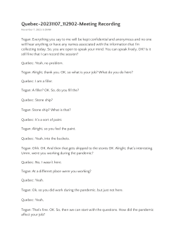 <sub>COVID-19 pandemic effects on blue-collar employees and impact on their occupational identity</sub>
