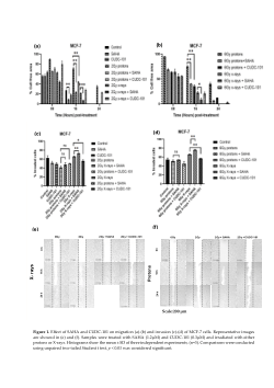 Investigating the radiosensitising capacity of two histone deacetylase inhibitors in breast cell lines