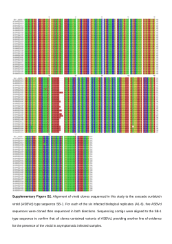 Processes involved in ASBVd pathogenesis using next-generation sequencing (NGS) to explore the host transcriptome in asymptomatic ASBVd-infected avocado