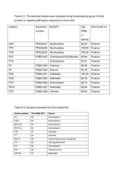 Bacterial strains isolated from diseased onion bulb rot in South Africa