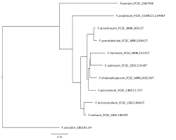 Ecological and toxicological importance of fungal diversity in pastures and potential role for novel Fusarium species in cattle mycotoxicosis