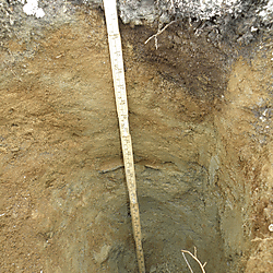 Soils at Haukeli, Imingfjell, and Lesja