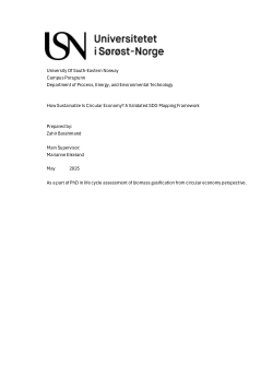Supplementary material: Detailed temporal analysis of CE–SDG mapping dynamics