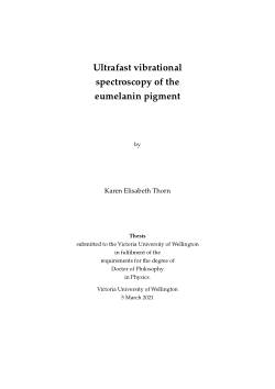 Ultrafast Vibrational Spectroscopy of the Eumelanin pigment