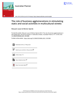 The role of business agglomerations in stimulating static and social activities in multicultural streets