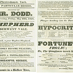 19th century Yorkshire playbill for performances of "The Shepherd of Derwent Vale", "The Hypocrite" and "Fortune's Frolic; Or, The Ploughman Turned Lord" in York on 23rd May 1828