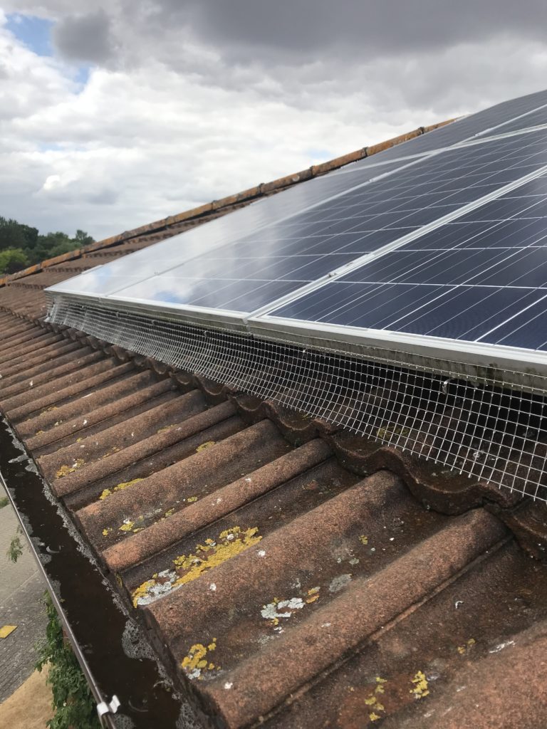 how much to pigeon proof solar panels - Featured Image
