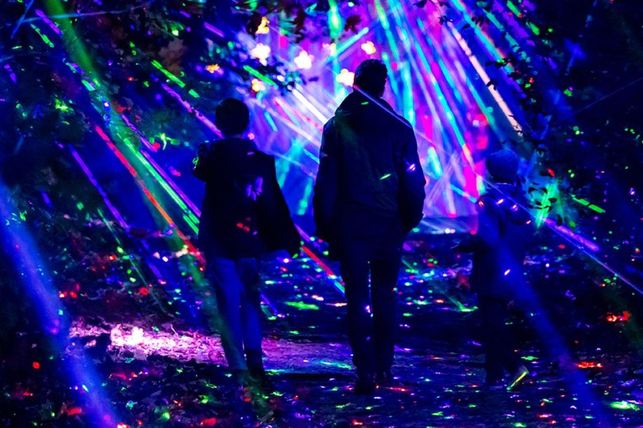 Lumières en Seine灯光节：圣克卢公园冬夜的奇幻光影之旅